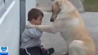 障害のある男の子に寄り添う犬。片時も離れず無償の愛を注ぐ姿に心温まる【感動】 [upl. by Jobi55]