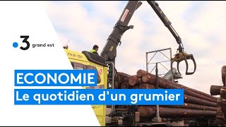 Le quotidien dun grumier en Alsace [upl. by Narih233]