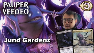 Mengus new Petdeck in Pauper Jund Gardens  MTGO [upl. by Gabrila]