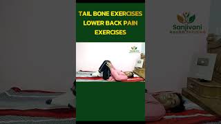 tail bone exercises  tailbonepain tailbonereliefexercises coccydynia [upl. by Kant]