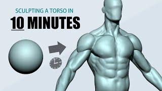 Sculpting a Torso using ZBrush in 10 minutes [upl. by Cutter]