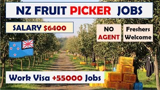 New Zealand Fruit Picking Jobs  New Zealand Work Visa 2025  New Zealand Work Permit  Owafk Africa [upl. by Wesla]