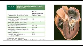 Infective endocarditis  General medicine  DrKarrar Abdulzahra [upl. by Eynenihc]