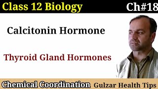 Calcitonin Hormone  Thyroid gland hormones  Class 12th Biology [upl. by Valentia]