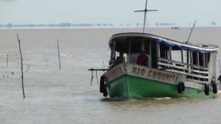 VIAGEM PELO RIO TEFÉ  AMAZÔNIA [upl. by Justin]