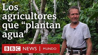 Los agricultores que convirtieron un desierto en un bosque  BBC Mundo [upl. by Lazaruk]