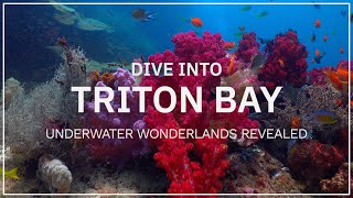 Dive Into Triton Bay Underwater Wonderlands Revealed  Indonesia  4K HDR  2024 [upl. by Vito835]