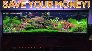 BEGINNER PLANTED AQUARIUM MISTAKES  OVER SPENDING [upl. by Soirtemed]