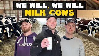 We Will Milk Cows We Will Rock You Parody [upl. by Fayina]