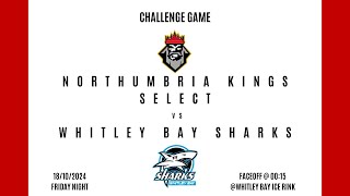 Northumbria Kings vs Whitley Bay Sharks 180924 [upl. by Leahcimnaj]