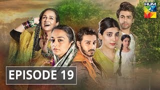 Udaari Episode 19 HUM TV Drama [upl. by Aicilec]