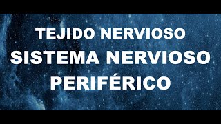 HISTOLOGÍA DEL SISTEMA NERVIOSO PERIFÉRICO [upl. by Ettenyl]