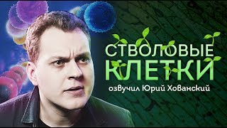 СТВОЛОВЫЕ КЛЕТКИ – ВОЛШЕБСТВО ИЛЛЮЗИЙ Юра Хованский [upl. by Lorrie]