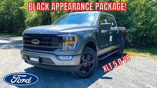 2022 Ford F150 XLT  REVIEW and POV DRIVE The BEST VALUE F150 [upl. by Ariana]