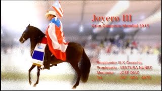 Joyero III World Champion15 [upl. by Olva]