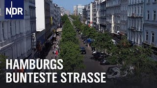 Boulevard der Gegensätze  Hamburgs Steindamm  die nordstory  NDR Doku [upl. by Nuzzi971]