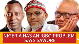 Why the igbos are heavily MARGINALISED [upl. by Namref]