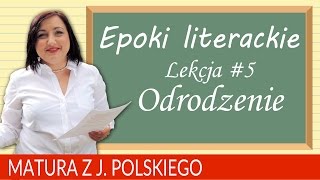 62 Matura z polskiego 2018 powtórzenie o epokach literackich  odrodzenie [upl. by Halland]