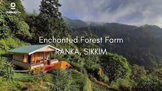 Homestays in Sikkim  Enchanted Forest Farm [upl. by Ludvig]