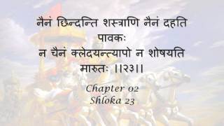 Bhagavad Gita Chapter 02  Shloka 23 [upl. by Koloski]