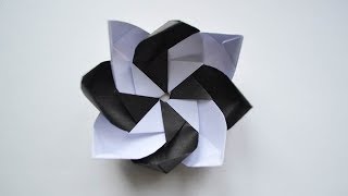 Wonderful Black and White Flower Paper Origami Tutorial DIY [upl. by Akinor]