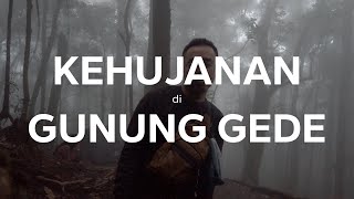 Kehujanan di Gunung Gede  Dokumentasi Kehidupan [upl. by Ahcmis585]