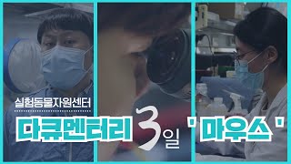 실험동물자원센터 다큐멘터리 3일 마우스 [upl. by Philips]