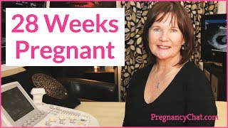 quot28 Weeks Pregnantquot by PregnancyChatcom PregChat [upl. by Laeahcim58]