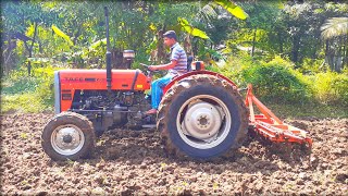 Tafe 45 di tractor l Tafe ටැක්ටරයෙන් බිම් සැකසීම🚜🚜l Best Tractor Farmer tractor video srilanka [upl. by Franciscka]