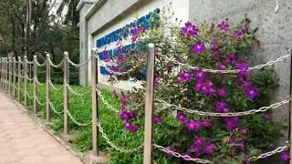 IISER tvm campus tour [upl. by Philbo214]