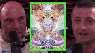 Does Joe Rogan Think the DMT Elves Are Real [upl. by Ruhtra]