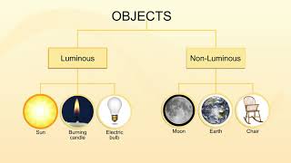 Light  Luminous  Non Luminous objects  Science  Class 5 [upl. by Downey976]