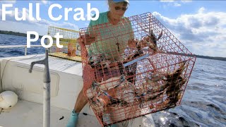 Blue Crabs 30 In One Pot [upl. by Laurena358]