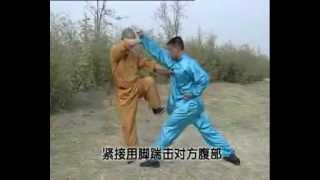 Kung Fu wu he quan fight techniques [upl. by Eelyk]