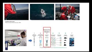 NOAA Omics Seminar Series March 21 2024 Marine Heatwave Drives Shifts in Pelagic Microbiology [upl. by Libby]