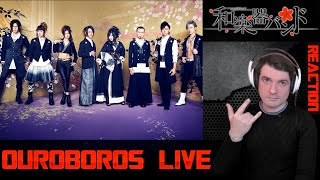 Wagakki Band  Ouroboros Live Reaction [upl. by Nilesoj]