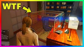 GTA 5 Online  MODDERS CAGE TROLLING PLAYERS Best Money Methods amp Discounts GTA V [upl. by Acemat]