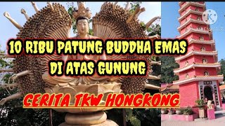 TEN THUSAUND BUDDHAS IN SHATIN HONGKONG [upl. by Proudman]