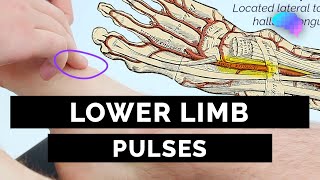 Lower Limb Pulses  OSCE Guide  UKMLA  CPSA [upl. by Parrie]