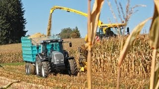 Maisernte mit VALTRA Traktoren  AMPLandtechnik [upl. by Enelad261]