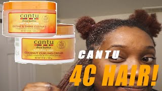 Wash quotNquot CANTU  4C Hair and Lessons Learned keepingitreal [upl. by Bolme]