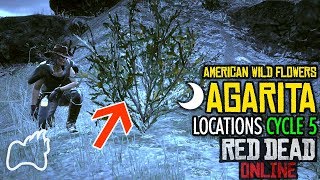 RED DEAD ONLINE AGARITA Cycle 5 Locations  American Wild Flowers Collection [upl. by Aehsan]