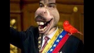 Las Burradas de Maduro [upl. by Reivilo500]