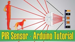 How PIR Sensor Works and How To Use It with Arduino [upl. by Tami931]