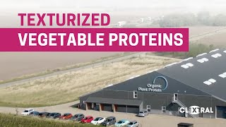 Texturized Vegetable Proteins production with Clextral [upl. by Bayer151]