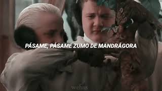 Zumo de mandrágora —PiterG LETRA Drarry [upl. by Isma]