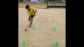 Learn field hockey skills [upl. by Litha]