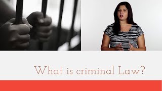 What Is Criminal Law [upl. by Rajewski]