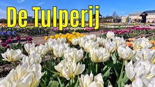 De Tulperij april 2024 part 1 [upl. by Galatea]