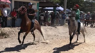 Carreras de caballos en “La Yegüería” [upl. by Lepley412]